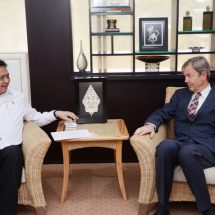 Jerman Siap Investasi Besar di Sektor Mobil Listrik Tanah Air