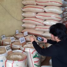 Bapanas: Harga Beras Turun di Bulan September saat Bansos Mulai Disalurkan?