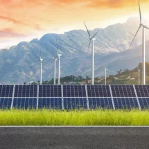 investasi berkelanjutan Tjandra Limanjaya