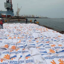Langkah Antisipatif: Impor Beras 1,5 Juta Ton Beras untuk Cadangan Stok Pemerintah