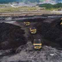 Analisis Harga Batu Bara dan CPO di Awal Tahun 2024: Koreksi dan Stabilitas