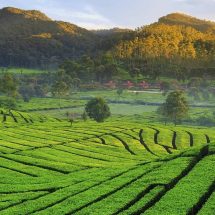 Dorongan Sekdaprov Jabar: Investasi di Jawa Barat Berdampak Langsung pada Kesejahteraan Rakyat