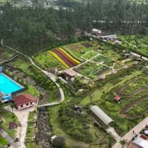 Laporan Realisasi Investasi Jateng Tembus 82,26 Persen pada Triwulan III 2024