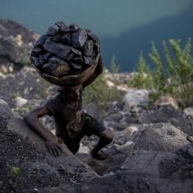 Harga Batu Bara Terus Turun: Saham Emiten Energi Fosil Bakal Ambruk?