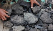 Benarkah Ramalan Produksi Batu Bara Indonesia 2025 Turun Imbas Anjloknya Harga?
