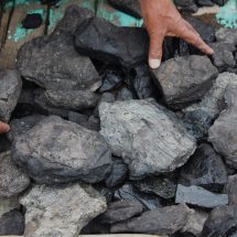 Benarkah Ramalan Produksi Batu Bara Indonesia 2025 Turun Imbas Anjloknya Harga?