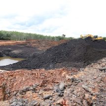 Energi Batu Bara: Ketergantungan yang Jadi Penghambat Transisi Energi Indonesia?  